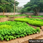 폐공간 생태적 전환의 기회와 위기 - A vibrant urban community garden in Dhaka with local Bengali people planting trees and tending to pl...