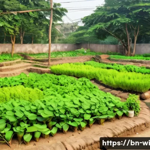 폐공간 생태적 전환의 기회와 위기 - A vibrant urban community garden in Dhaka with local Bengali people planting trees and tending to pl...