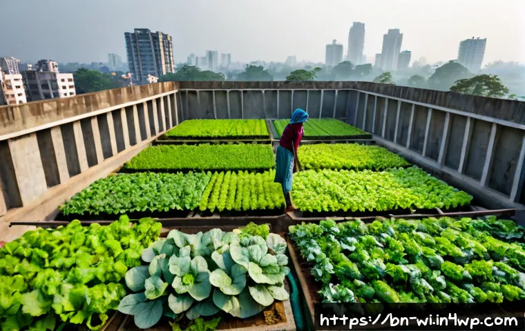폐공간을 이용한 도시농업 발전 사례 - Photorealistic rooftop urban farm on an unused concrete apartment roof in Dhaka, Bangladesh, rows of...